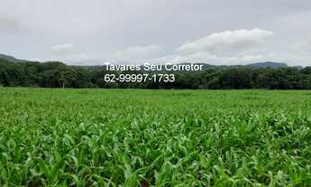 Imagem: FAZENDA RURAL em JARAGUÁ - GO, Zona rural