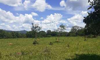 Imagem 5: FAZENDA RURAL em JARAGUÁ - GO, Zona rural