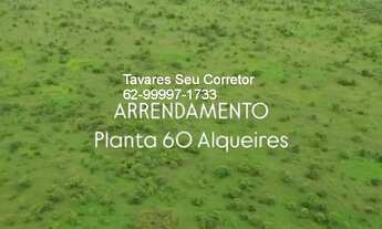 Imagem 4: Fazenda Comercial de Palmas -TO: Imperdível Oportunidade!