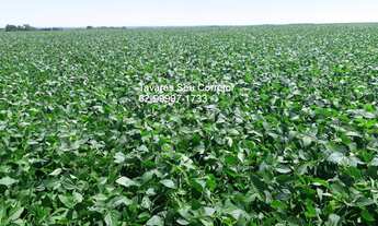 Imagem 2: Fazenda à venda em Balsas-MA: Máquinas e frota impecáveis no bairro perfeito!