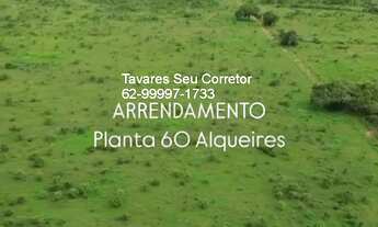 Imagem 2: Fazenda Comercial de Palmas -TO: Imperdível Oportunidade!