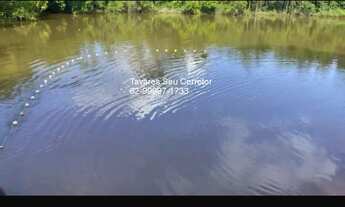 Imagem 3: Fazenda Comercial de Palmas -TO: Imperdível Oportunidade!