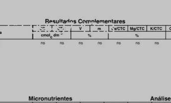 Imagem 5: Fazenda Comercial de Palmas -TO: Imperdível Oportunidade!