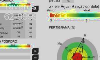 Imagem 6: Fazenda Comercial de Palmas -TO: Imperdível Oportunidade!