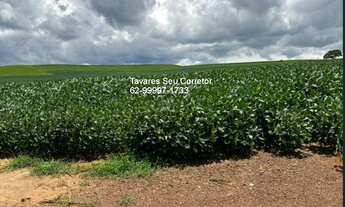 Imagem: FAZENDA RURAL em ANÁPOLIS - GO, SETOR CENTRAL