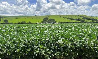 Imagem 2: FAZENDA RURAL em ANÁPOLIS - GO, SETOR CENTRAL