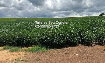 Imagem 3: FAZENDA RURAL em ANÁPOLIS - GO, SETOR CENTRAL