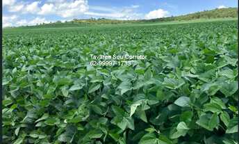 Imagem 7: FAZENDA RURAL em ANÁPOLIS - GO, SETOR CENTRAL