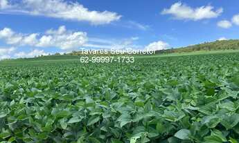 Imagem 4: FAZENDA RURAL em ANÁPOLIS - GO, SETOR CENTRAL