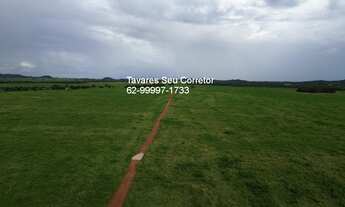 Imagem 6: Fazenda à venda em Jussara-GO: oportunidade única no bairro com infraestrutura completa!