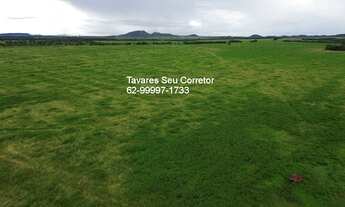 Imagem 7: Fazenda à venda em Jussara-GO: oportunidade única no bairro com infraestrutura completa!