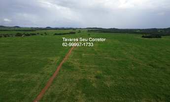 Imagem 3: Fazenda à venda em Jussara-GO: oportunidade única no bairro com infraestrutura completa!