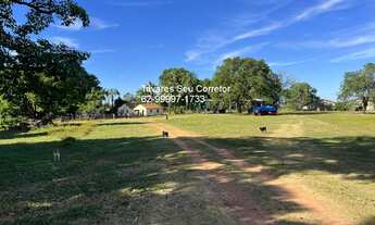 Imagem: FAZENDA RURAL em MONTE ALEGRE DE GOIÁS