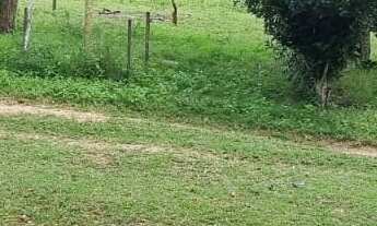 Imagem 3: FAZENDA RURAL em SERRINHA - BA, ZONA RURAL