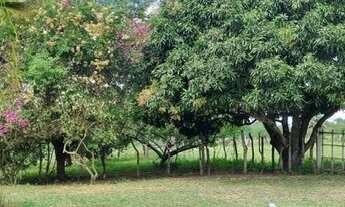 Imagem 7: FAZENDA RURAL em SERRINHA - BA, ZONA RURAL