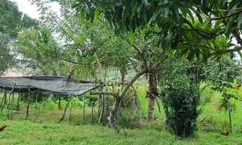 Imagem 5: FAZENDA RURAL em SERRINHA - BA, ZONA RURAL