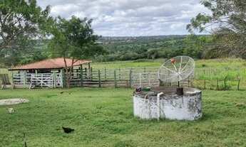 Imagem 2: FAZENDA RURAL em SERRINHA - BA, ZONA RURAL