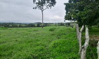 Imagem 6: FAZENDA RURAL em TERRA NOVA - BA, ZONA RURAL