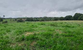 Imagem 5: FAZENDA RURAL em TERRA NOVA - BA, ZONA RURAL