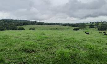 Imagem 7: FAZENDA RURAL em TERRA NOVA - BA, ZONA RURAL
