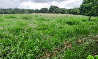 Imagem 2: FAZENDA RURAL em TERRA NOVA - BA, ZONA RURAL