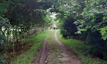 Imagem 3: FAZENDA RURAL em TERRA NOVA - BA, ZONA RURAL