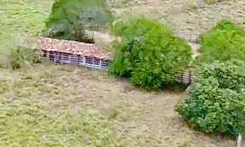 Imagem 5: FAZENDA RURAL em SÃO SEBASTIÃO DO PASSÉ - BA, ZONA RURAL