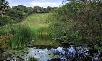 Imagem 4: FAZENDA RURAL em CORAÇÃO DE MARIA - BA, zona rural