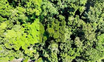 Imagem 3: Casa de luxo em condomínio à venda em Ubatuba-SP, bairro Toninhas, 5 quartos, 5 suítes, 3