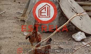 Imagem 6: Terreno à venda ou locação em Jacareí-SP, no Residencial Santa Paula - 140,00 m² de área