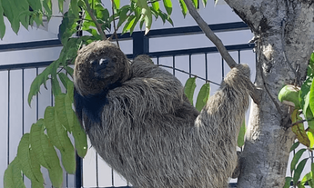 Imagem 7: Apartamento à Venda na Praia do Forte: 1 quarto, 1 sala, 1 banheiro e 1 vaga de garagem!