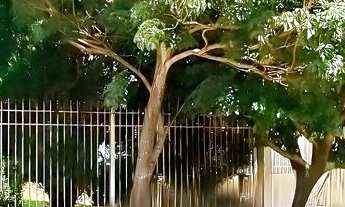 Imagem 7: Casa à venda no Centro de Ibirubá-RS: 2 quartos, 2 banheiros, 1 vaga, 105m² de área. Venha