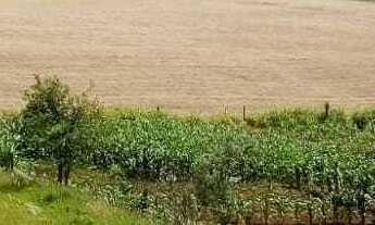 Imagem 2: Chácara à venda - Ibirubá/RS