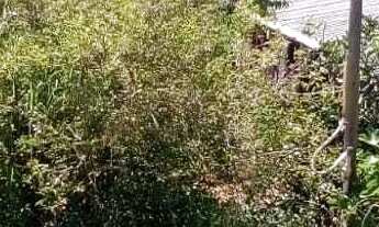 Imagem 7: Chácara à venda - Ibirubá/RS