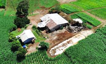 Imagem 2: CHACARA RURAL em SELBACH - RS, Interior