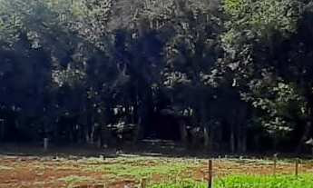 Imagem 6: Sítio à venda no bairro Centro em Lagoa dos Três Cantos/RS