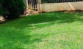 Imagem 4: Imoveis em Ibirubá/RS