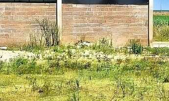 Imagem 6: Área à venda no bairro Centro em Selbach/RS