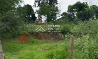 Imagem 2: Terreno comercial de 5.000m² à venda em São Paulo-SP, na Chácara Maria Trindade!