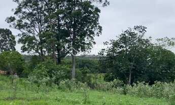 Imagem 3: Terreno comercial de 5.000m² à venda em São Paulo-SP, na Chácara Maria Trindade!