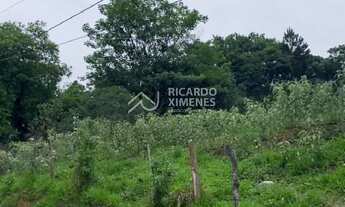 Imagem: Terreno comercial de 5.000m² à venda em