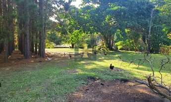 Imagem: SITIO RURAL em Bragança Paulista - SP
