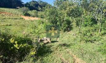 Imagem 7: TERRENO COMERCIAL em BRAGANÇA PAULISTA - SP, GUARIPOCABA DOS SOUZAS