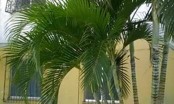 Imagem 3: APARTAMENTO RESIDENCIAL em SALVADOR - BA, SÃO MARCOS