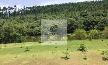 Imagem 6: Terreno de 1.198m² no Condomínio Fazenda Alta Vista