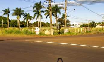 Imagem 3: TERRENO COMERCIAL em Dourados - MS, CHÁCARA CALIFÓRNIA