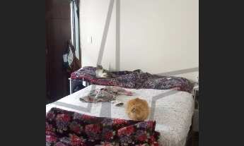 Imagem 4: CASA RESIDENCIAL em BARUERI - SP, PARQUE ESMERALDA