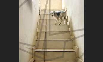 Imagem 5: CASA RESIDENCIAL em BARUERI - SP, VILA ENGENHO NOVO