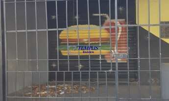 Imagem 7: ÓTIMO PONTO COMERCIAL NO BAIRRO CID. JARDIM, ESQUINA, COM 2 PORTAS DE AÇO, DEVIDAMENTE EST