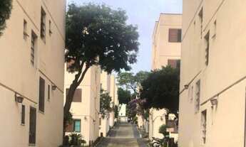 Imagem 3: Apartamento Térreo à Venda em Campinas-SP, Jardim Ipiranga: 2 Quartos, 1 Vaga, 55m² - Conf